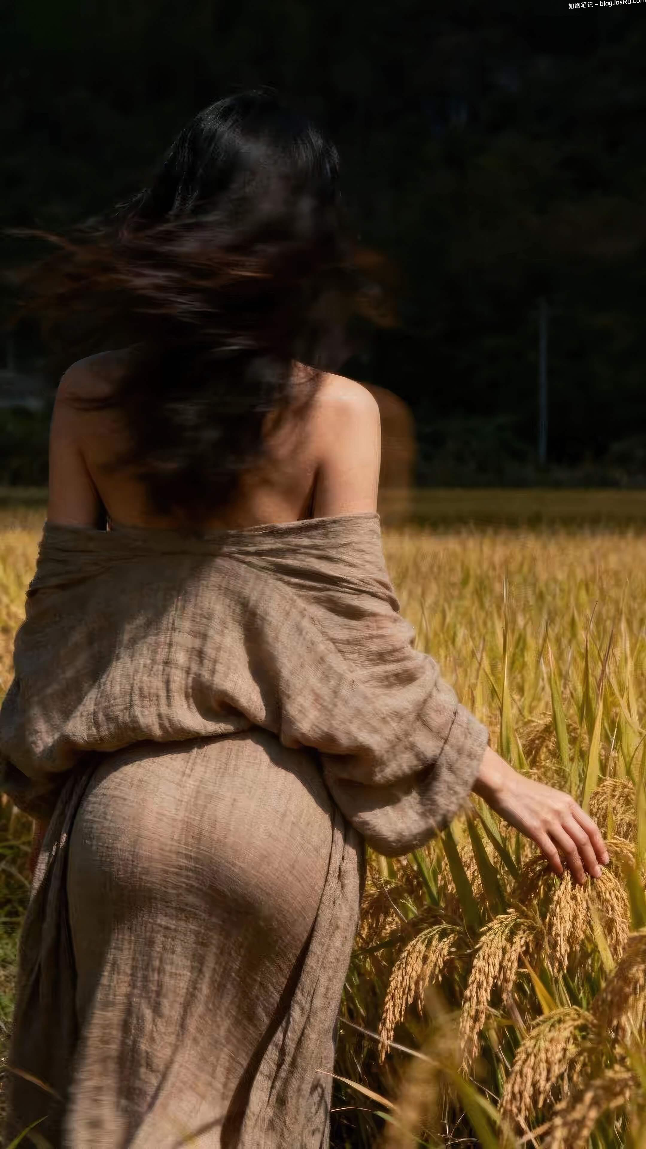 如烟笔记- 专注iOS开发、建站、IT技术分享