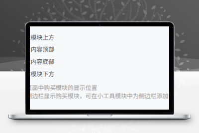 子比主题美化 – 文章付费模块单独位置教程- 如烟笔记